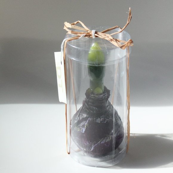 [D&T] "Rosemary & Time" Realistic Flower Bulb Candle - Picture 4 of 9